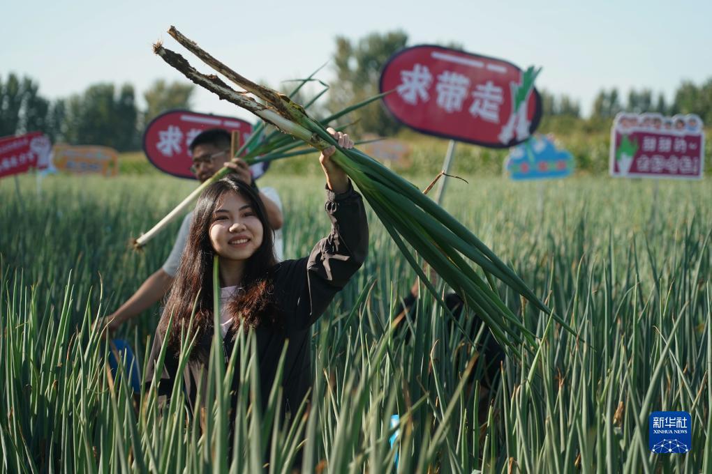 新浪澳门即时盘口